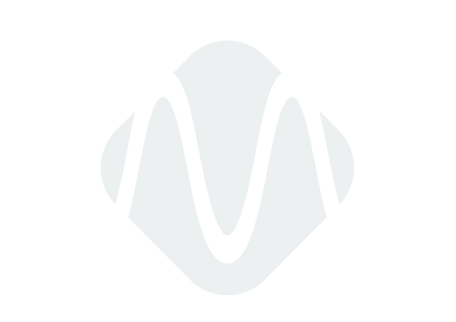 Camera sensor