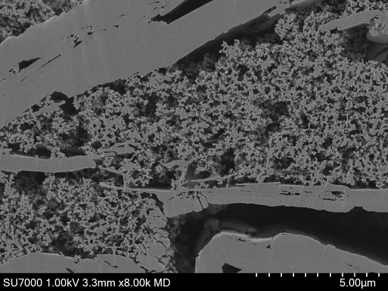 CS-Anode-2.webp
