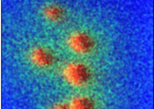 Untitled-600-x-424-px-8.png