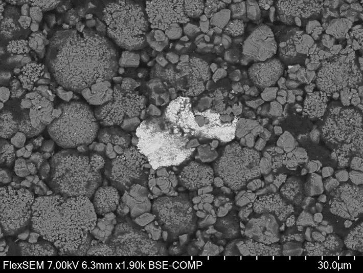 anode-contamination-flexsem.webp